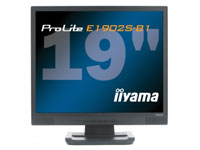 IIYAMA PLE1902S/19LCD 2MS 300cd/m2 DVI Black