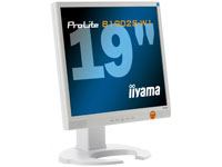 IIYAMA Pro Lite B1902S-W1 PC Monitor
