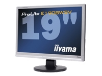 IIYAMA Pro Lite E1908WSV-1 PC Monitor