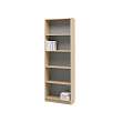 Ikea KILBY Bookcase