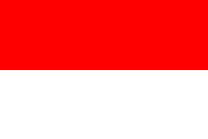 Indonesia paper flag, 11`` x 8``