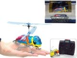 R/C Flying Winged Insect