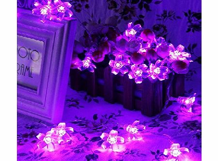 Innoo Tech 40 LED Christmas Fairy String Lights Battery Operated Indoor Xmas Tree Light Flower for Bedroom Wedding Party-Purple