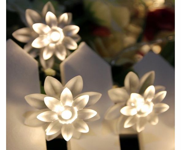 Battery Operated Fairy Lights String 4M 40 Warm White Lotus Flower LED String Lights for Christmas Tree