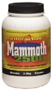 Mammoth 2500 - Chocolate -