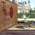 Interactive Wine Tasting Course