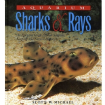 Sharks and Rays (Hardback)