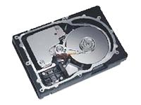 Iomega Maxtor Atlas 15K - Hard drive - 36.7 GB - standard - 3.5" - SCSI Ultra320 - 15000 rpm - 8 MB
