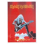 Iron Maiden Fear Of The Dark Poster