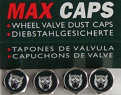 Jaguar Dust Caps