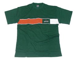 Jaguar Stripe Cut & Sew T-Shirt (Green)