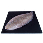 James Knight of Mayfair Dover Sole