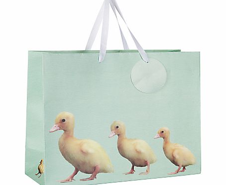 John Lewis Photo Ducklings Gift Bag, Multi, Small