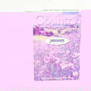 Johnsons Old English Country Meadow Grass Seed