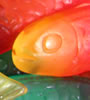 juicy Fruity Jelly Fish