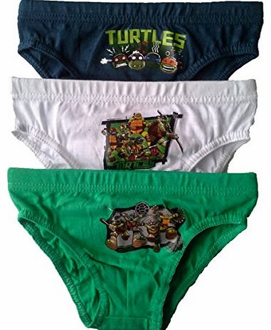 Boys Teenage Mutant Ninja Turtles Pants, Briefs, Slips Cotton - Pack of 3 (4 - 5 Years)
