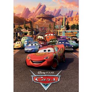 Cars Movie Disney