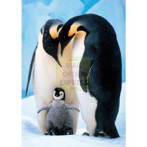 Jumbo Emperor Of The Penguins 500 Piece Jigsaw Puzzle