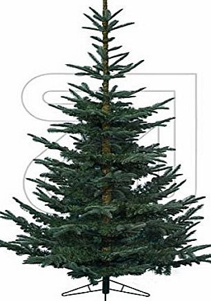 Kaemingk Nobles Green Fir Artificial Christmas Tree - 1.5m (5ft)