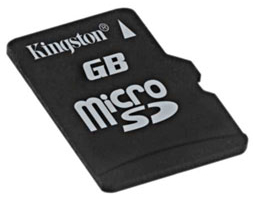 Kingston Micro SD - 2GB