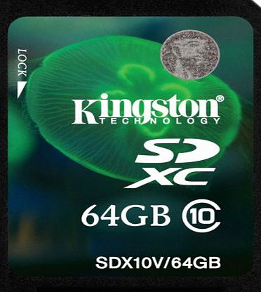 Kingston Technology SDX10V/64GB 64GB Secure Digital Extended Capacity Flash Card