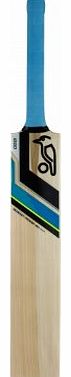 Kookaburra 2014 Ricochet Prodigy 80 Cricket Bat - Black/Blue/Yellow, Short Handle
