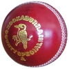 KOOKABURRA COUNTY SPECIAL CRICKET BALL (AK021)