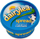 Dairylea Spread (300g)