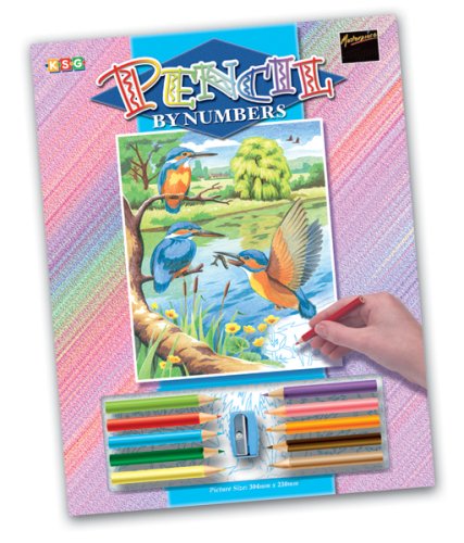 Pencil by Numbers Kingfisher