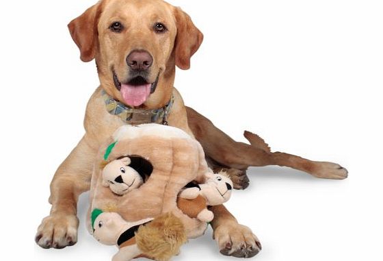 Kyjen Puzzle Plush Hide-A-Squirrel Dog Toy