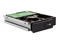 LACIE 4big/5big Spare Drive - hard drive - 1 TB - SATA-300