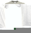Sport Grey T-Shirt with Velour Logo