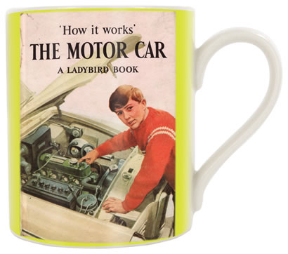 Ladybird Mugs - `How it Works` The