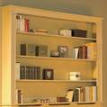 large classic bookcase (untreated)