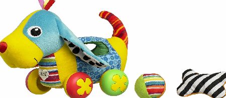 Lamaze Push Along Pup