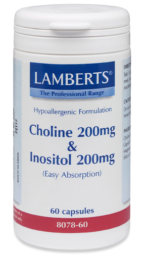 Choline 250mg/Inositol 250mg 60 capsules