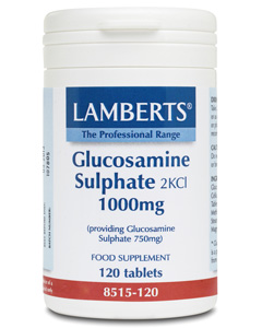 Glucosamine Sulphate 1000mg (120)