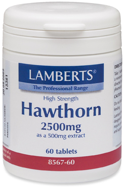 High Strength Hawthorn 2500mg (60)
