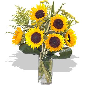 Large Sunflower Delight - flowers