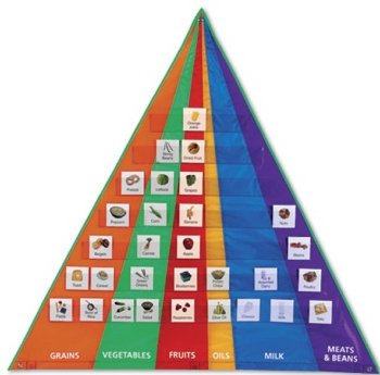 food pyramid for kids. Food Pyramid Pocket Chart