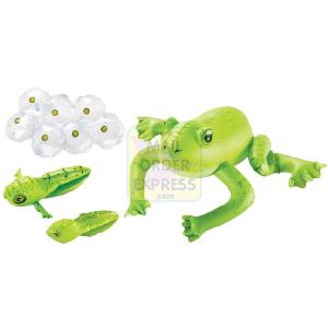 Learning Resources Inflatable Frog Life Cycle