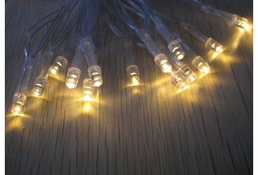 LEDER Battery Operated LED Fairy String Lights, Warm White