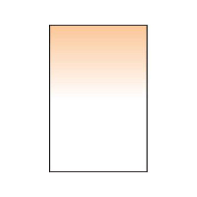 Lee Coral Grad 8 Resin Filter