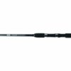 2XL 10ft Feeder Fishing Rod