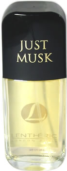 Just Musk PDT 100ml spray un-boxed