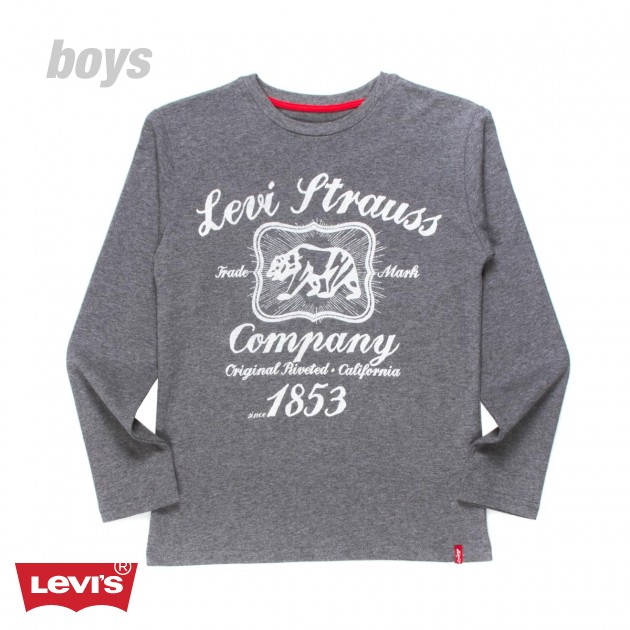 Harvey Boys Long Sleeve T-Shirt - Grey