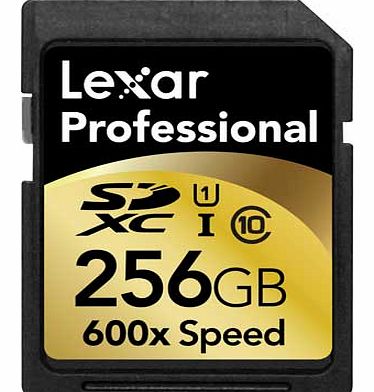 Lexar Professional 256GB Class10 600x Speed SDHC