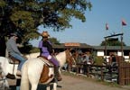 Lifestyle Horse Riding In the New Forest