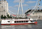 Sightseeing Cruise and London Eye Trip for Two