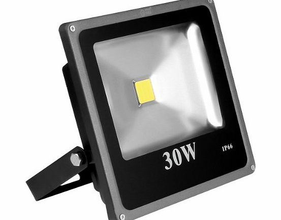 Lighting EVER LE 30W Super Bright Outdoor LED Flood Lights, 75W HPS Bulb Equivalent, Daylight White, Security Lights, Floodlight
